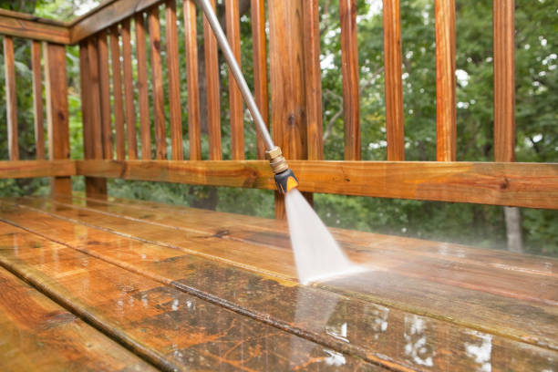 Best Animal Enclosure Cleaning  in Samoset, FL